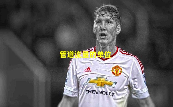 管道流量的单位
