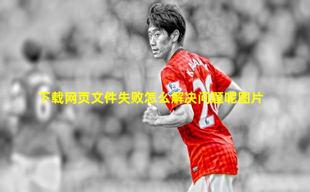 下载网页文件失败怎么解决问题呢图片