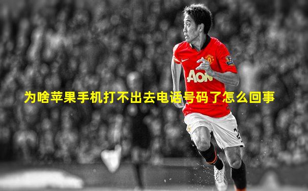 为啥苹果手机打不出去电话号码了怎么回事