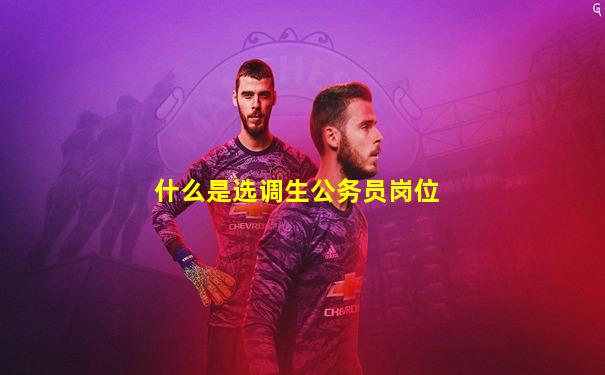 什么是选调生公务员岗位