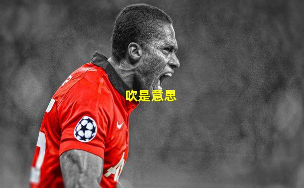 吹是意思