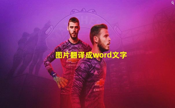 图片翻译成word文字
