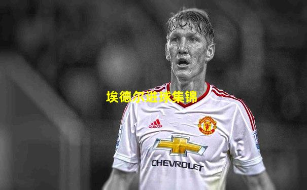 埃德尔进球集锦