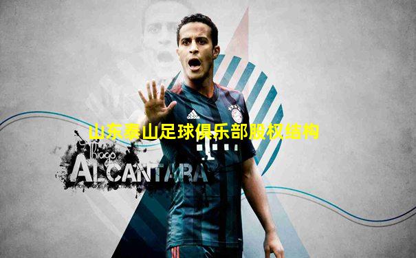 山东泰山足球俱乐部股权结构