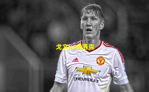 戈文vs布洛克