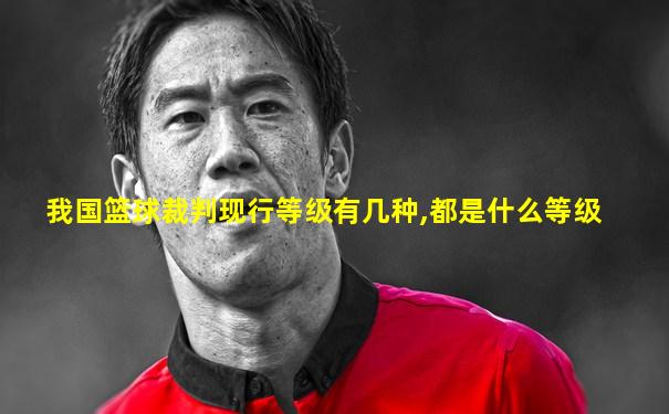 我国篮球裁判现行等级有几种,都是什么等级