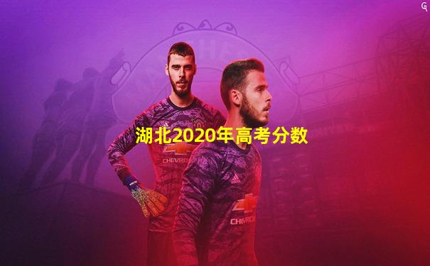 湖北2020年高考分数