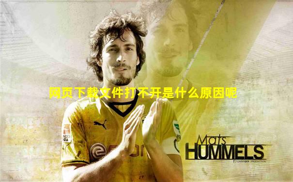 网页下载文件打不开是什么原因呢