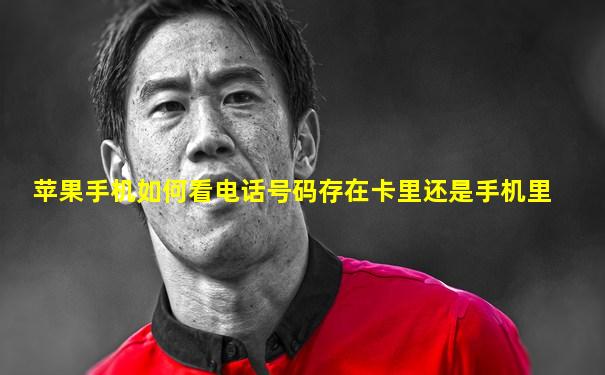 苹果手机如何看电话号码存在卡里还是手机里