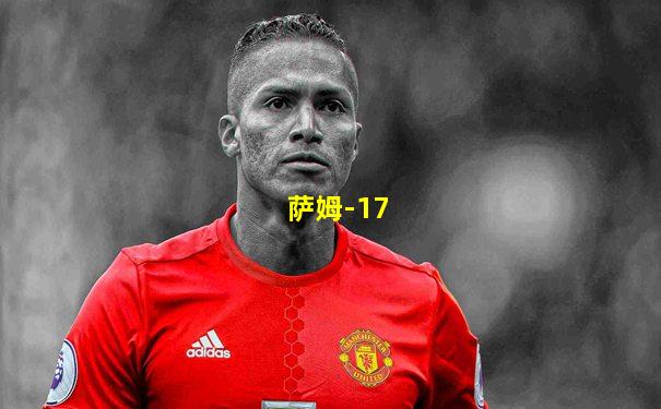 萨姆-17