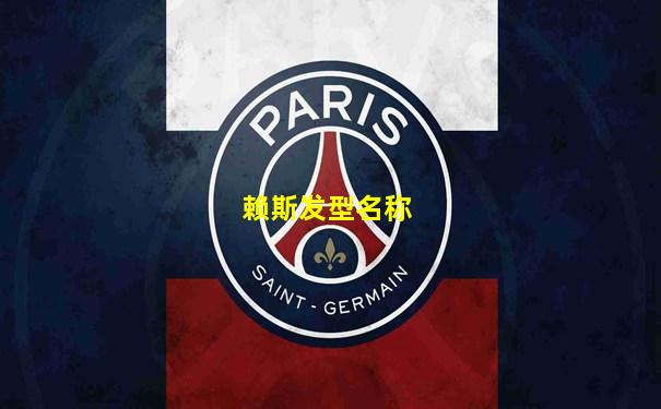 赖斯发型名称