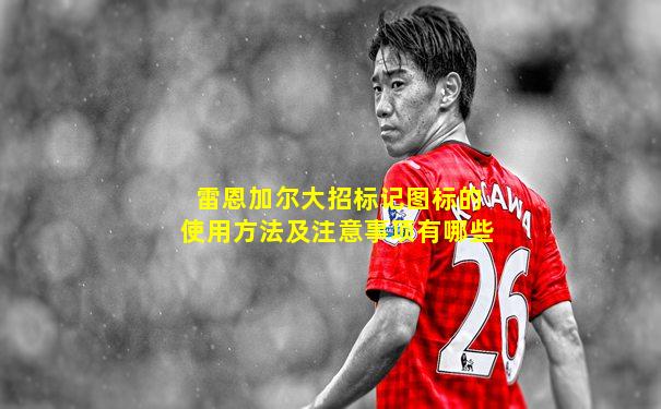 雷恩加尔大招标记图标的使用方法及注意事项有哪些